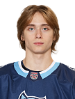 Владимир Костин
