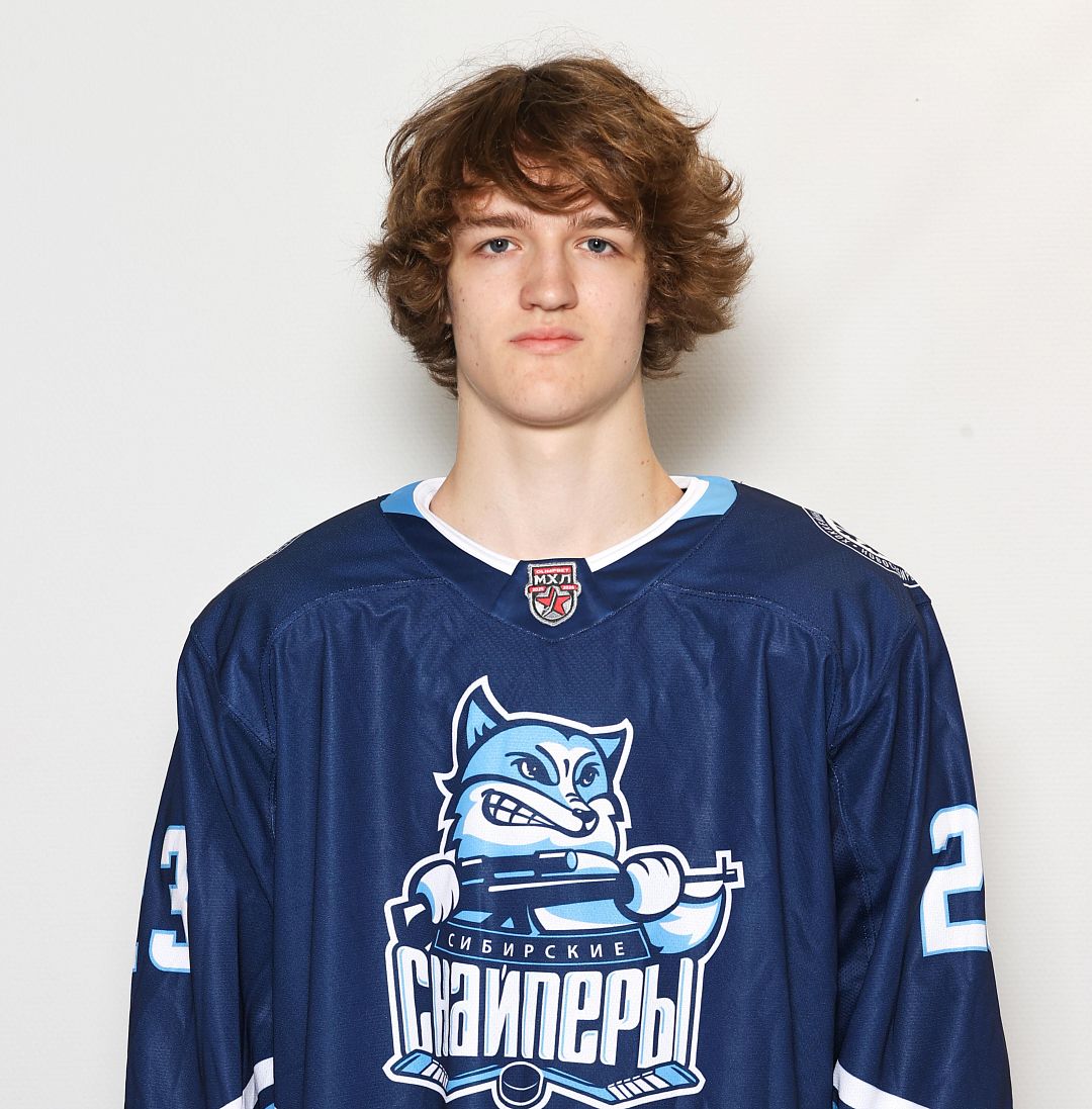 Спасибо за работу, Ефим Гайков